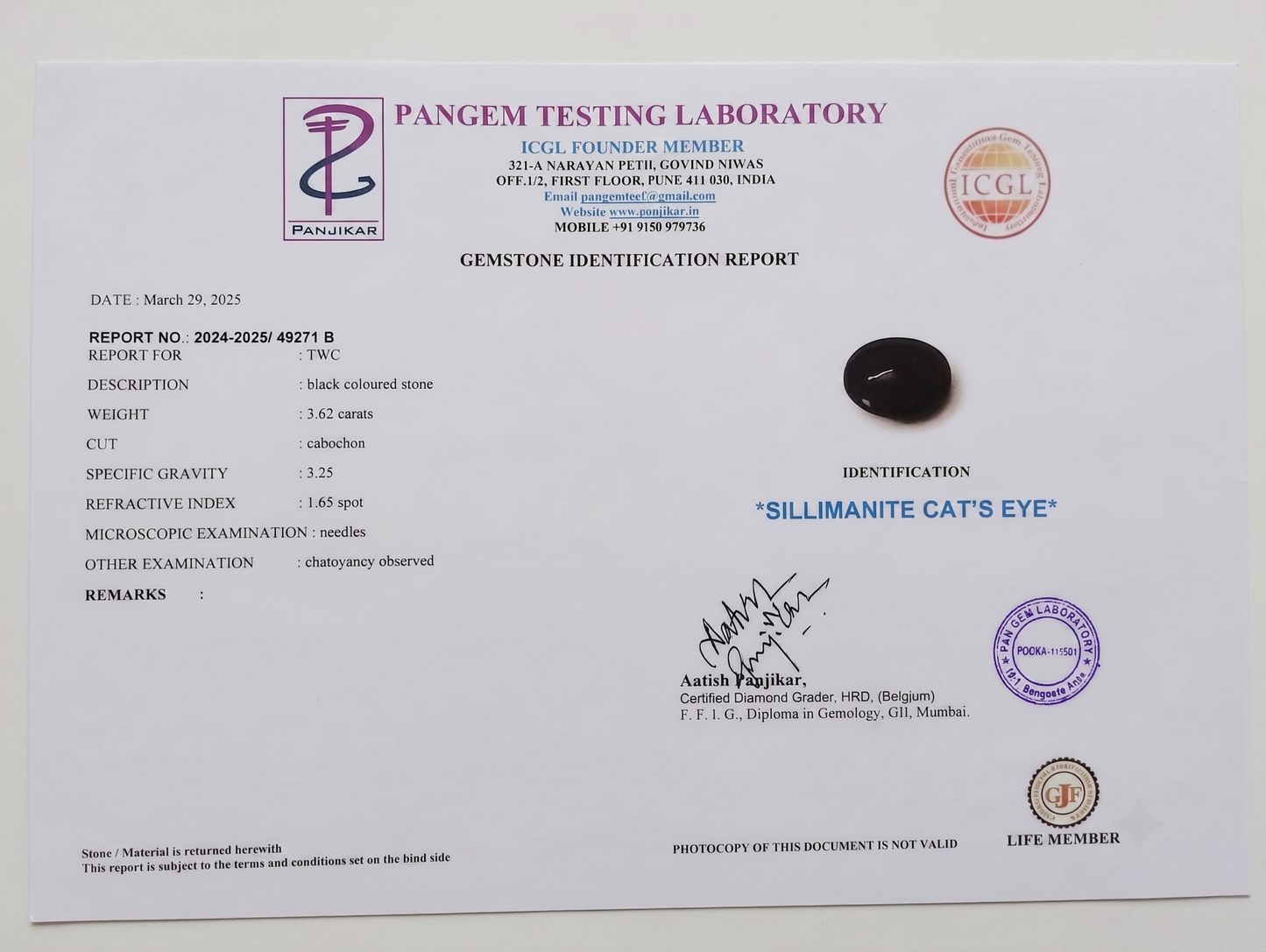 Cat's Eye - 3.62 Carats