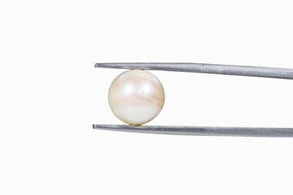 Pearl - 7.36 Carats