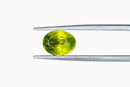 Peridot - 3.69 Carats