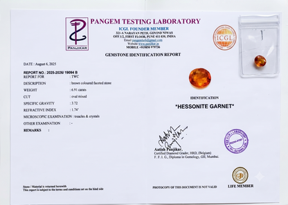 Hessonite Garnet - 6.91 Carats
