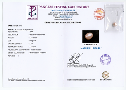 Pearl - 4.64 Carats