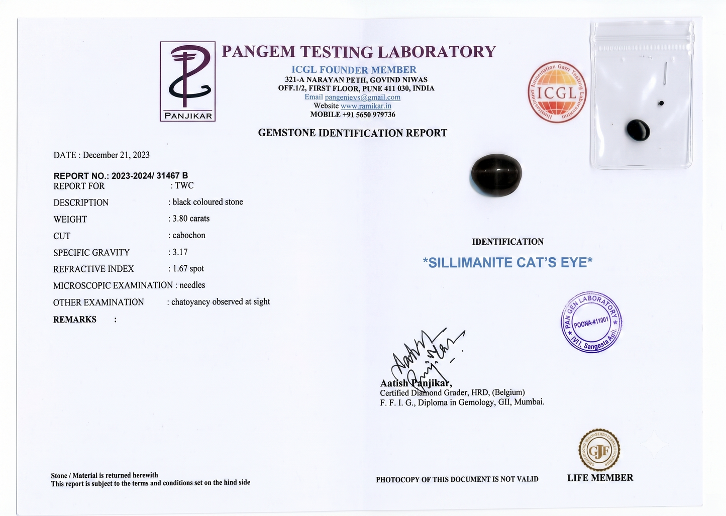 Cat's Eye - 3.8 Carats