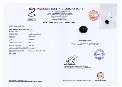 Cat's Eye - 3.8 Carats