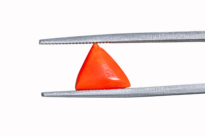 Coral - 3.73 Carats