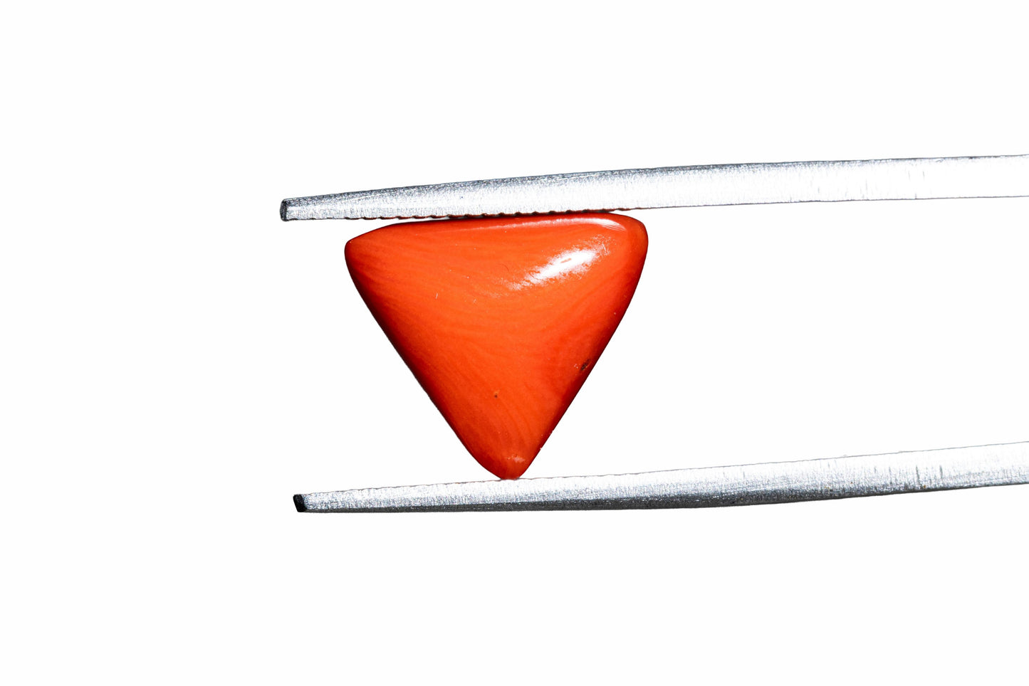 Coral - 3.58 Carats