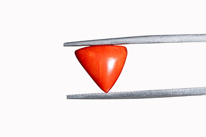 Coral - 3.51 Carats