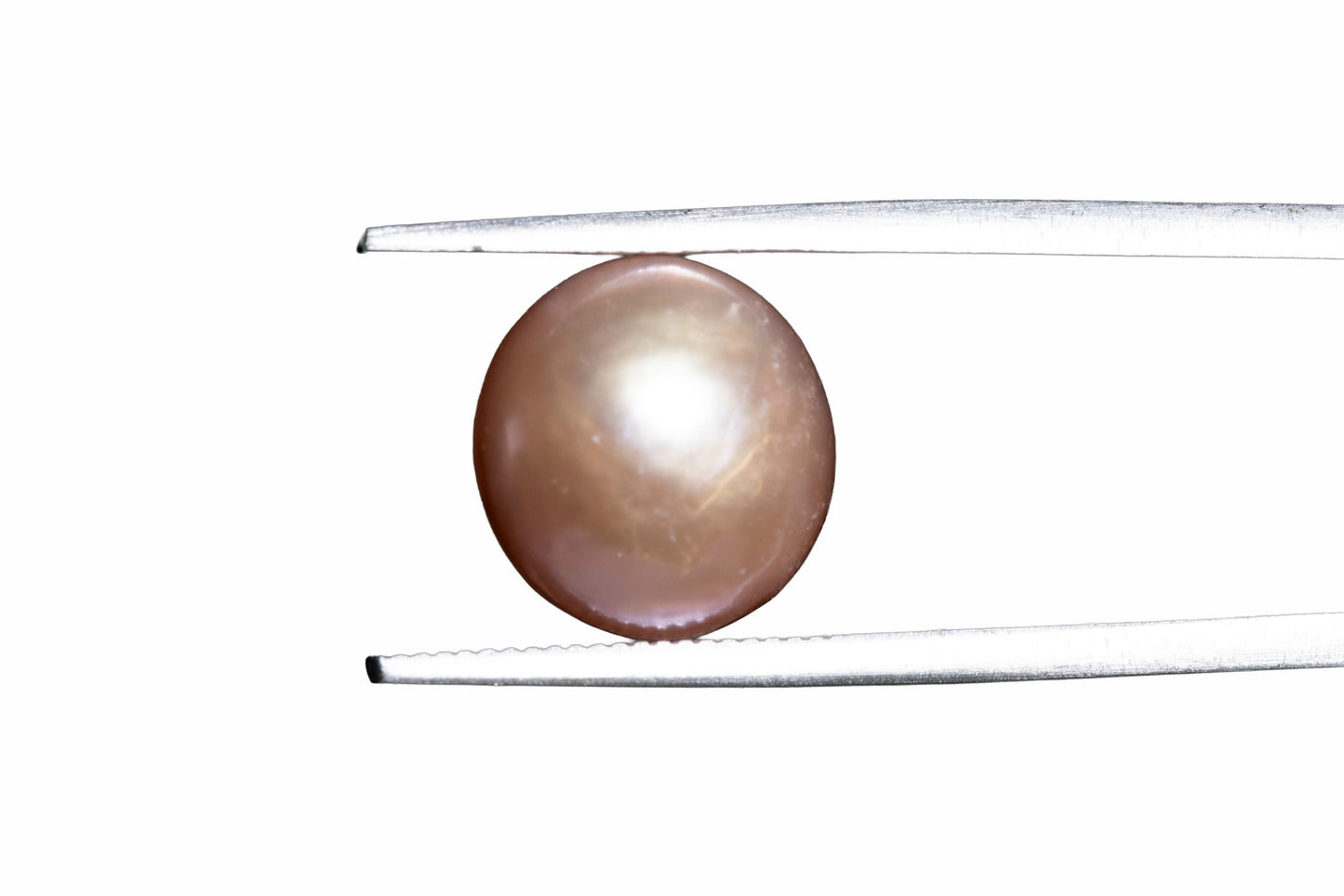Pearl - 7.8 Carats