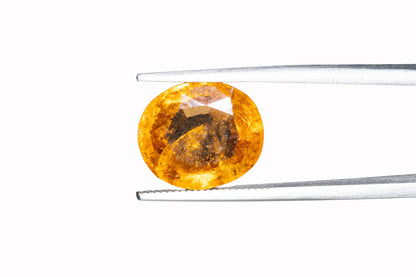 Hessonite Garnet - 6.91 Carats