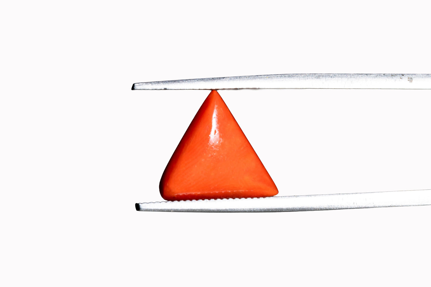 Coral - 4.26 Carats