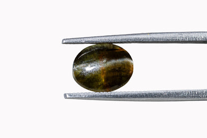 Cat's Eye - 3.62 Carats